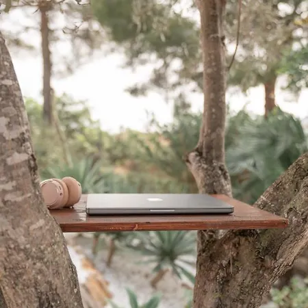 Coco - Coliving & Coworking Costa Blanca