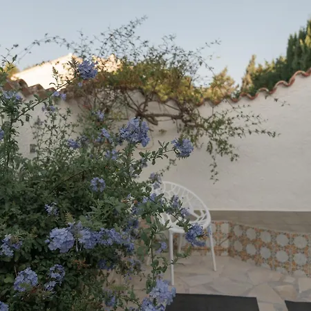 Coliving & Coworking Costa Blanca Bed & Breakfast *