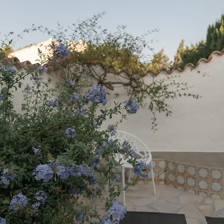 Coco - Coliving & Coworking Costa Blanca Bed & Breakfast *