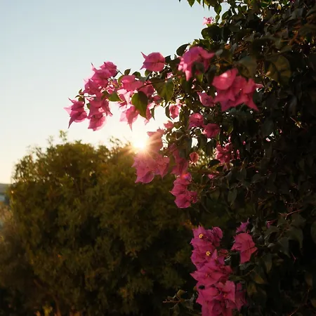 Coco - Coliving & Coworking Costa Blanca *