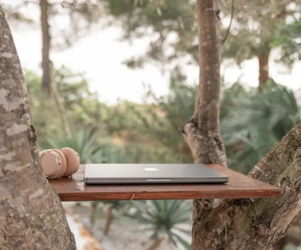 Coco - Coliving & Coworking Costa Blanca