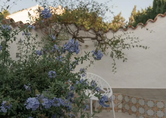 Coco - Coliving & Coworking Costa Blanca Bed & Breakfast *