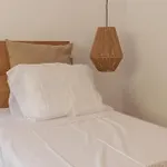Coco - Coliving & Coworking Costa Blanca *