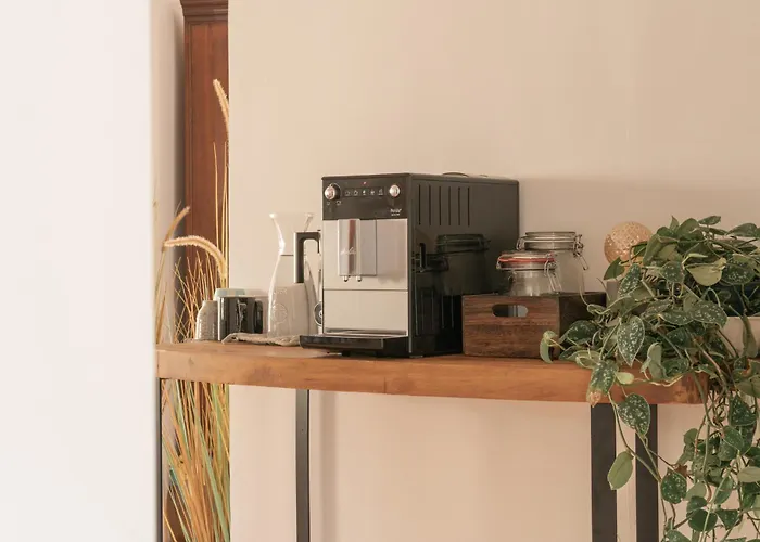 Panzió Coco - Coliving & Coworking Costa Blanca Denia